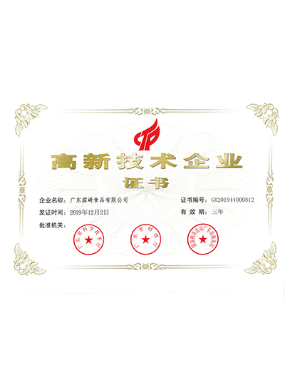 濱崎-高新技術企業(yè)證書